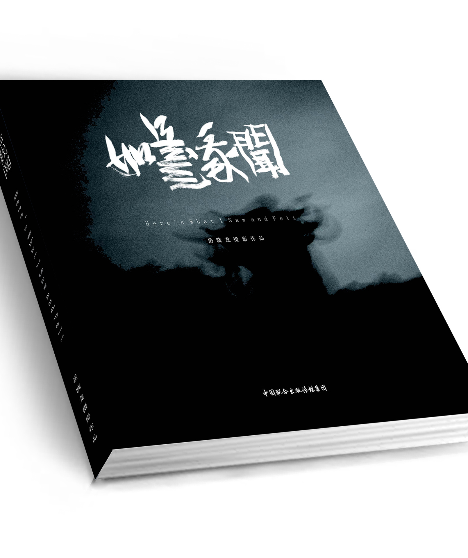 岳晓龙《如是我闻》